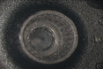 ᡼ 17