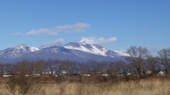 イメージ 2