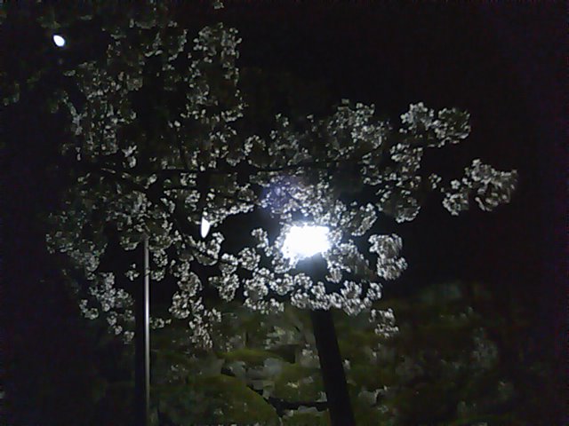 イメージ 3