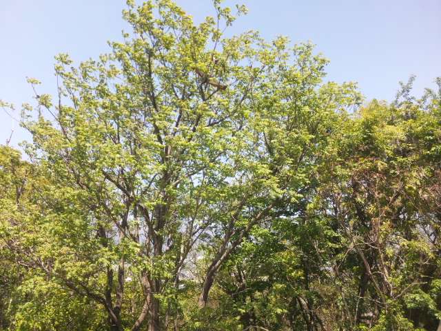 イメージ 2