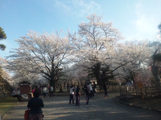 イメージ 4