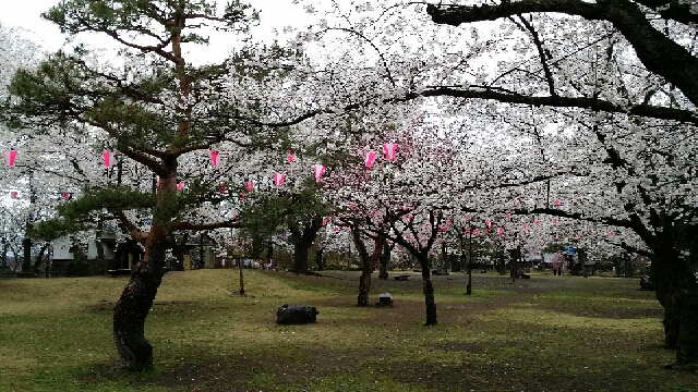 イメージ 3