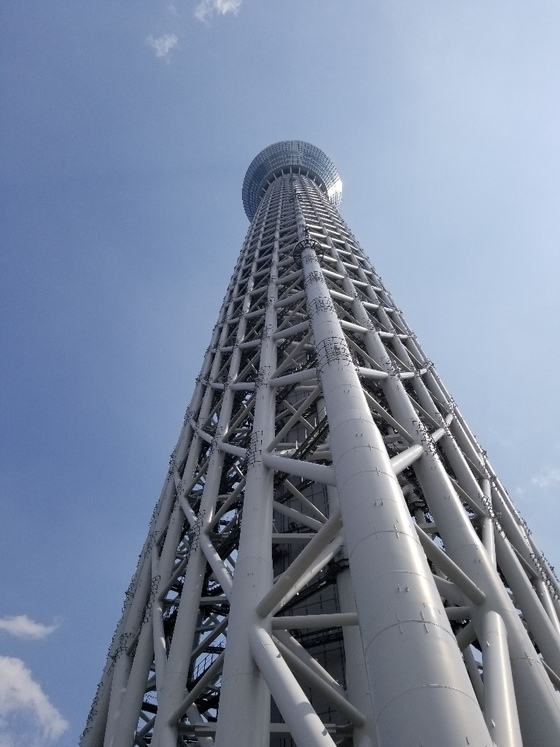 イメージ 1