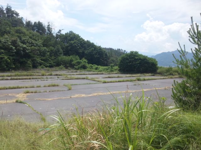イメージ 5