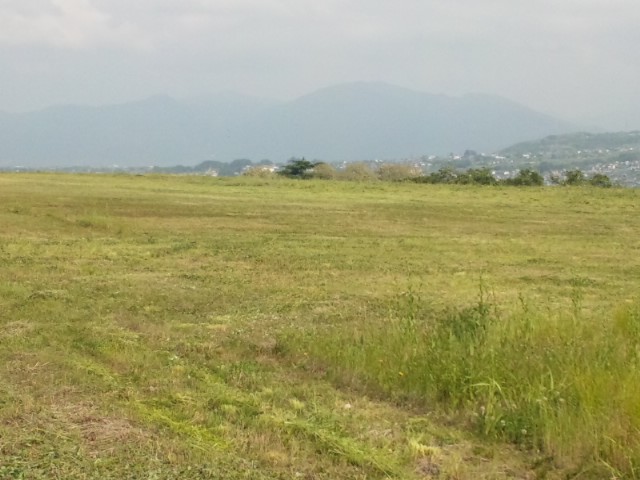 イメージ 6