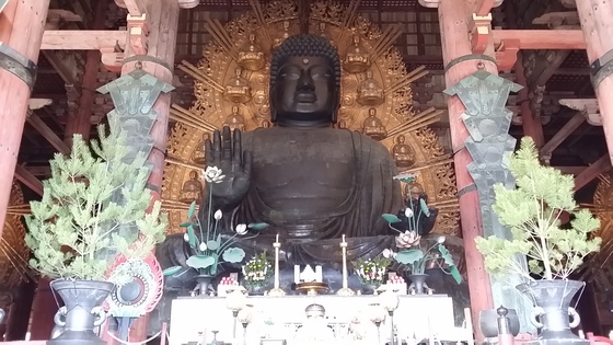 イメージ 5