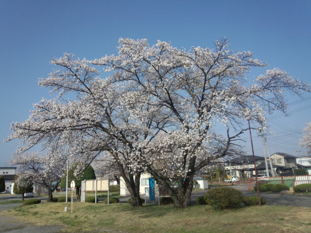 イメージ 3