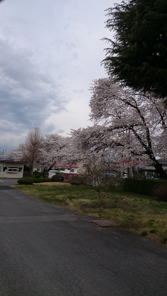 イメージ 2