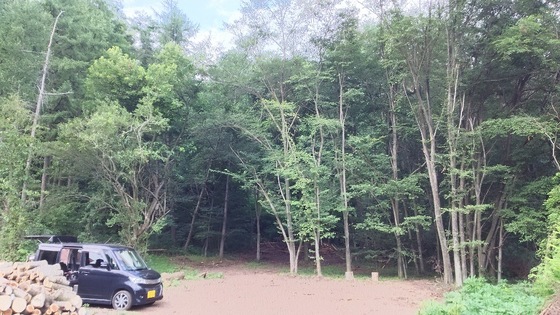 イメージ 4