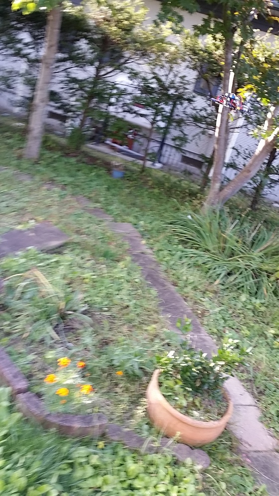 イメージ 2