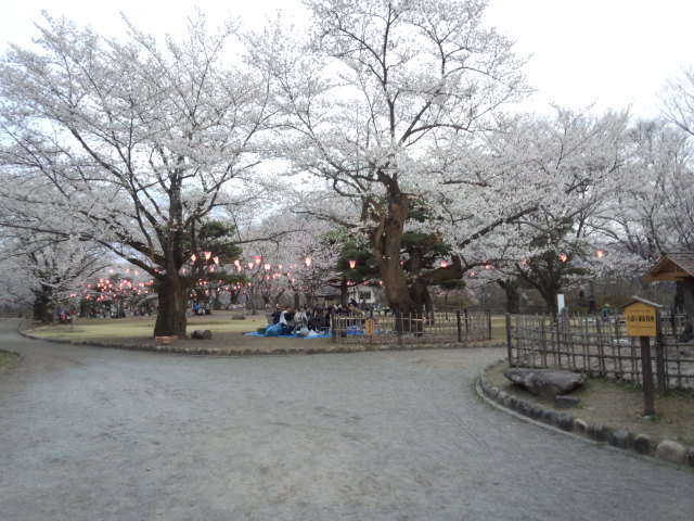 イメージ 3