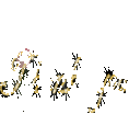 ᡼ 7